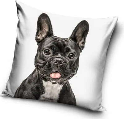Produktbild von Hund Kissenbezug 40*40 cm