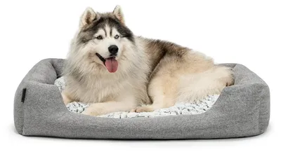 Zdjęcie produktu dla Legowisko dla psa z odwracalną poduszką 110 x 80 cm