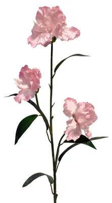 Immagine prodotto di Clayre & Eef, fiore artificiale rosa, plastica