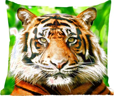 Produktbild von MuchoWow® Zierkissen Sofakissen Wohnzimmer Dekokissen 50x50 cm Tiger - Kopf - Wald - Komfort - Sofakissen