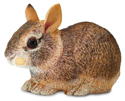 Produktbild von Safari Ltd Figur Eines Jungen Baumwollschwanzkaninchens Braun From 3 Years Kinder Braun From 3 Years