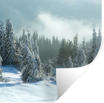 Produktbild von MuchoWow® Wandtattoo Wandsticker Wandaufkleber Wald - Schnee - Winter 50x50 cm Selbstklebend und Repositionierbar - Selbstklebend - Fototapeten