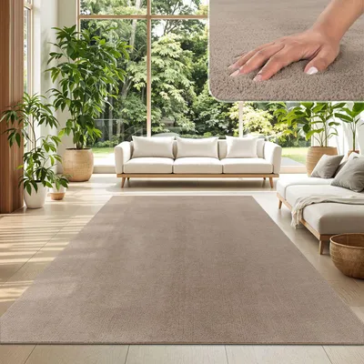 A living room scene with a rug, sofas, and plants.