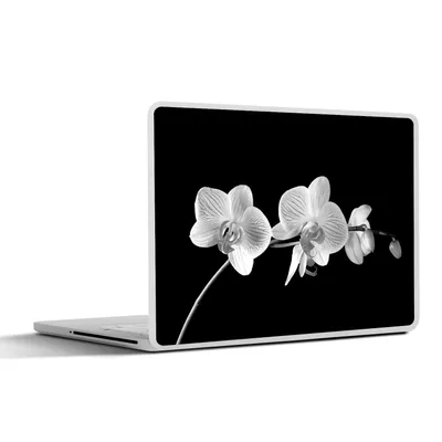 Produktbild von MuchoWow® Laptop Aufkleber Sticker Cover Orchidee - Blumen - Schwarz - Rosa - Knöpfe 36.5x27.5 cm - Laptop-Sticker