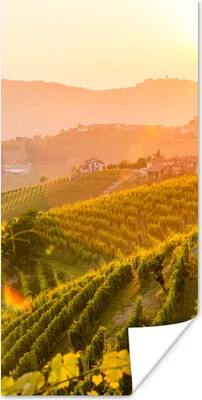 Produktbild von MuchoWow® Poster Italien - Weinberg - Sonne 60x120 cm - Wandschmuck