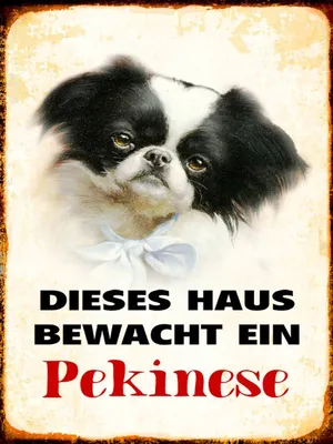 Produktbild von vianmo Holzschild 40x30 cm Hund dieses Haus bewacht ein Pekinese
