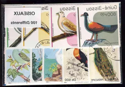 Productafbeelding van Vogelzegels Verzameling - Postzegels Set - Verzamelen - 100 Verschillende Motieven - 100 Stuks - Multicolor