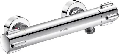 Image de Mitigeur thermostatique de douche Delabie SECURITHERM, raccords S standard