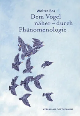 Zdjęcie produktu dla Dem Vogel näher - durch Phänomenologie