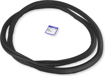 Immagine prodotto di VOLVO S60 guarnizione porta anteriore OE 32328842