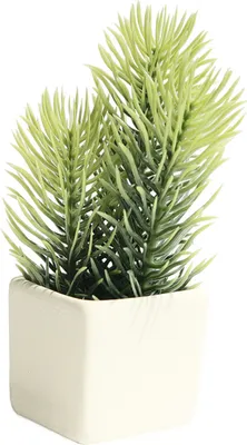 Produktbild von Dollhouse Green Plant Simulierte tragbare Keramik -Puppenhaus -Miniatur -Kiefernzweige für 1/6 Puppenhaus-Weiß