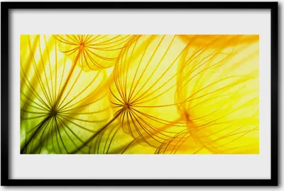Produktbild von Bild 60x40 MDF-Rahmen Wandkunst Löwenzahn Blumen Natur