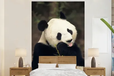 Produktbild von MuchoWow® Fototapete für Wohnzimmer oder Schlafzimmer Wandtapete Vinyl Motivtapete Panda - Bambus - Essen - 200x300 cm - Wanddekorationen