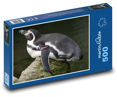 Obrázok produktu pre martinpuzzle – Puzzle 500 – Odpocívajúci tucniak