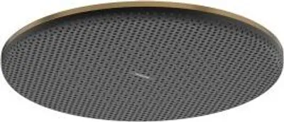 Produktbild von Hansgrohe 24523140 Kopfbrause Raindance Alive Q