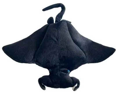 Image de Raie manta de 54 cm - Beppe