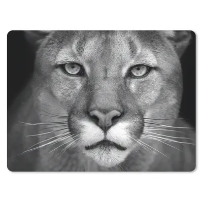 Produktbild von MuchoWow® Mauspad Mousepad Panther - Wildlife - Schwarz - Weiß 40x30 cm - Mousepads - Maus Mat - Pad - Mausunterlage - Anti Rutsch