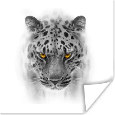 Produktbild von MuchoWow® Poster Leopard - Schwarz - Weiß - Tiere 75x75 cm - Wand Dekoration