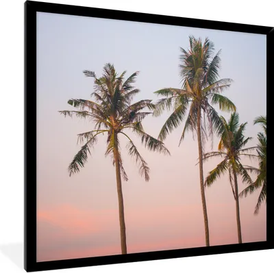 Produktbild von MuchoWow® Gerahmtes Poster Tropisch - Palmen - Sonnenuntergang 40x40 cm - Poster mit Schwarzem Bilderrahmen Wandposter Rahmen Foto Bilder - Mit Rahmen - Wanddekoration Schlafzimmer