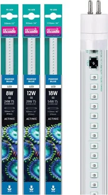 Produktbild von Arcadia - LED-Röhre T5 Marine Blue - 8W (550mm)