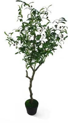 Produktbild von Kunstolijfbaum schwarze Kunststofftüte 120 cm