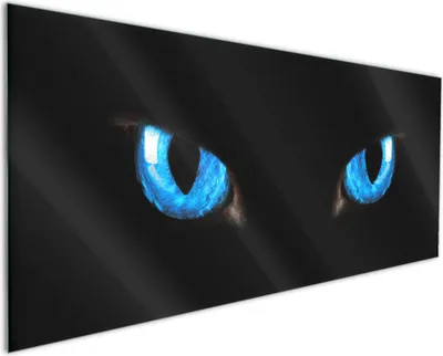 Produktbild von Wallario Küchenrückwand aus Glas, Größe: 125 x 50 cm, Motiv: Blaue Katzenaugen bei Nacht | Spritzschutz | abwischbar | pflegeleicht | in