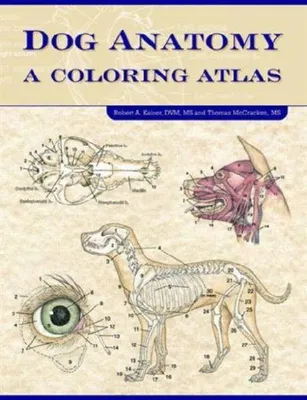 Produktbild von Dog Anatomy