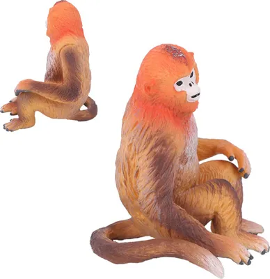 Immagine prodotto di Simulazione di fauna selvatica scimmia d'oro modello ornamenti desktop decorazione bambini ToyGolden