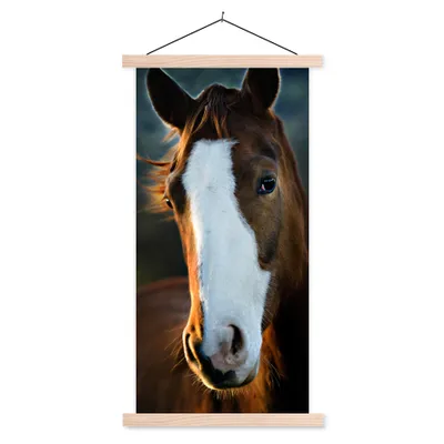 Produktbild von MuchoWow® Textilposter Pferd - Kopf - Licht 60x120 cm mit holzfarbenen Rahmen - Holz