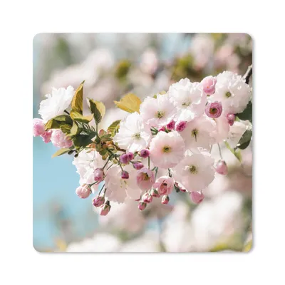 Produktbild von MuchoWow® Mauspad Mousepad Blumen - Blüte - Frühling 30x30 cm - Mousepads - Maus Mat - Pad - Mausunterlage - Gaming