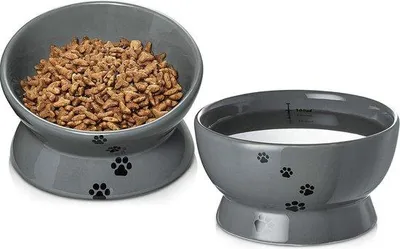 Image de Distributeur de nourriture pour chats - Bol en céramique surélevé - Gris