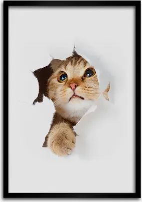 Produktbild von Bild - Bilderrahmen - 50 cm x 70 cm - MDF - Rahmen - Wandkunst Katze