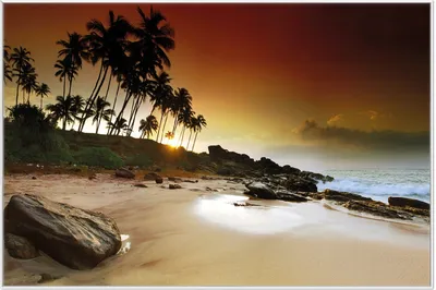 Produktbild von Wallario Wandbild Sri Lanka - Palmenstrand mit Sonnenuntergang, Größe: 61 x 91,50 cm, Poster mit weißem Aluminiumrahmen