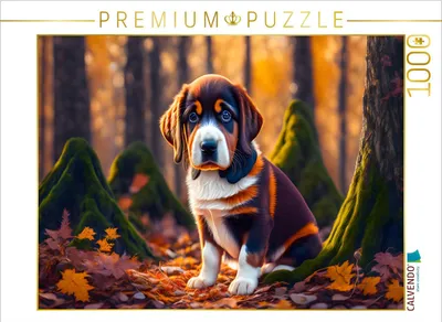 Produktbild von CALVENDO Puzzle Kleiner Hund im Herbstwald | 1000 Teile Lege-Größe 64x48cm Foto-Puzzle für glückliche Stunden