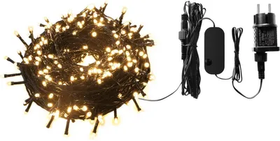 A string of fairy lights and their power adapter are shown against a white background.