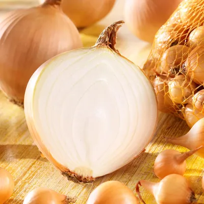 Artikelbild 2 von 'Steckzwiebel Stuttgarter Riesen (500 g)' aus der Kategorie Steckzwiebeln