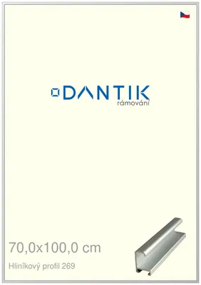 Obrázok produktu pre Rám DANTIK 70x100 | ALU profil 7269 Strieborný matný (Plexi Clear)