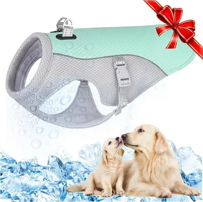 Productafbeelding van Koelvest Hond - Maat M - Mesh - Reflecterend - Gevoerd - Blauw