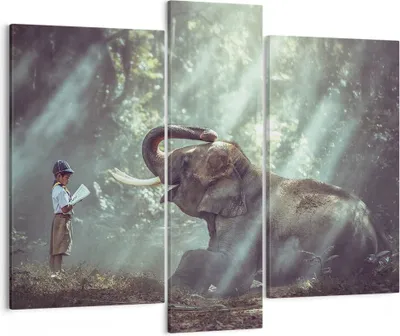 Produktbild von Bild auf Leinwand - Leinwandbild - Elefant Dschungel Stoßzahn - 95x80cm - Wand Bild - Wanddeko - Leinwanddruck - Bilder - Kunstdruck - Wanddekoration - Leinwand bilder - Wandkunst - CB95x80-3486