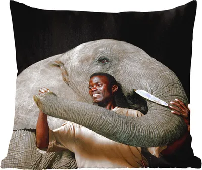 Produktbild von MuchoWow® Zierkissen Sofakissen Wohnzimmer Dekokissen 40x40 cm Elefant - Männlich - Tiere - Schwarz - Foto Kissen - Schlafzimmer Dekoration