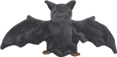 Image de Chauve-souris noire 50 cm - Beppe