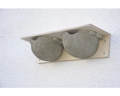 Produktbild von SCHWEGLER Mehlschwalben Doppelnest Nr. 9/B Maße: 11x46x14 cm, Holzbeton