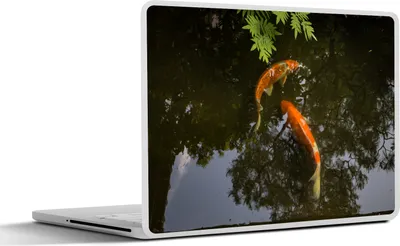 Produktbild von MuchoWow® Laptop Aufkleber Sticker Cover Zwei Koi-Karpfen um einen Teich 25x18 cm - Laptop-Deko