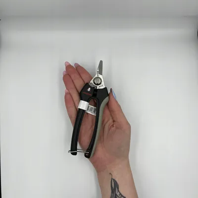 Produktbild von Bellota Gartenschere Einhändig 16cm INOX