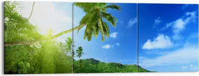 Produktbild von Bild auf Leinwand - Leinwandbild - Baum Dschungel Welle Landschaft - 150x50cm - Wand Bild - Wanddeko - Leinwanddruck - Bilder - Kunstdruck - Leinwand bilder - Wandkunst - CA150x50-3169