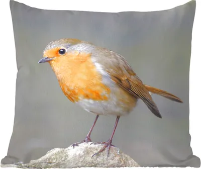 Produktbild von MuchoWow® Zierkissen Sofakissen Wohnzimmer Dekokissen 50x50 cm Vogel - Rotkehlchen - Felsen - Komfort - Sofakissen
