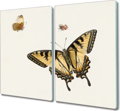 Produktbild von Coloray Hackbrett Küchenbrett Kochplattenabdeckung Schneidebrett Herdabdeckplatte 2x30x52 cm - Insekt Schmetterling