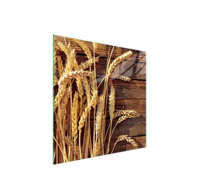 Immagine prodotto di Piastra Protettiva In Vetro Per Cuore 50X52 Grano