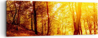 Produktbild von Bild auf Leinwand - Leinwandbild - Wald Baum Natur - 90x30cm - Wand Bild - Wanddeko - Wandbilder - Leinwanddruck - Bilder - Kunstdruck - Wanddekoration - Leinwand bilder - Wandkunst - AB90x30-3722