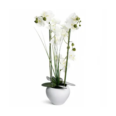 Produktbild von Kunstorchidee Phalaenopsis 53 cm – weiße Kunstpflanze mit weißen Blüten & grünen Blättern in weißer Keramikvase, pflegeleicht, Deko für Wohnzimmer